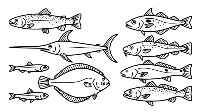 Realistic Seafood Fish Species Sketch Collection Vector Set