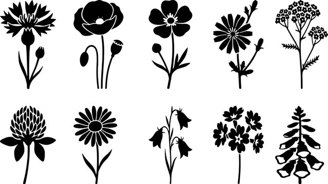 Wildflowers and field herbs silhouettes vector illustration set containing cornflowers, poppies, flax, chicory, clover, daisies, bellflowers, and foxglove isolated on white.