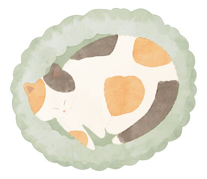 もこもこのクッションで丸くなって眠る三毛猫　水彩風