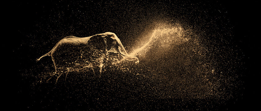 Golden Elefant Running Particle Dust Effect on Black Background