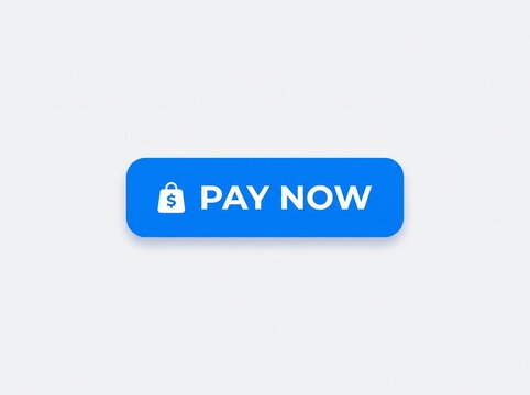 Pay Now Button With Shopping Bag Icon