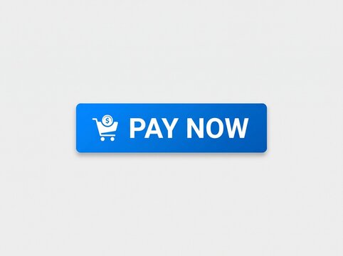 Pay Now Button With Shopping Cart Icon