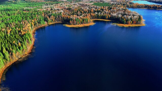 Aerial view of autumn forest surrounding crystal clear blue lake with colorful foliage patterns