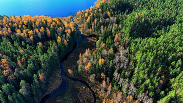 Aerial view of winding river through vibrant autumn forest with colorful foliage