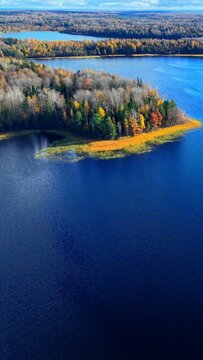 Colorful autumn trees reflected on blue lake water with lush green forest scenery