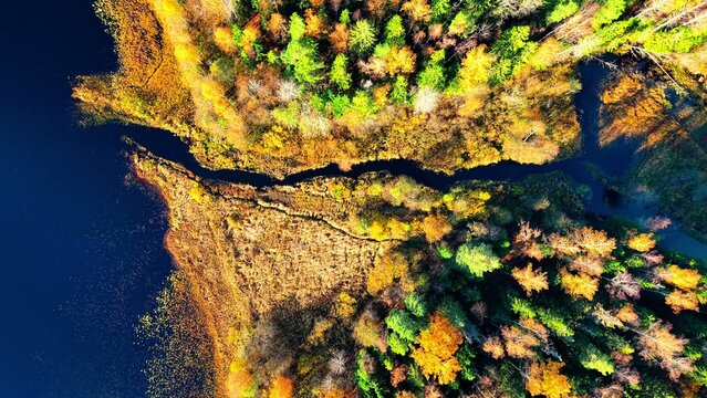 Aerial view of vibrant autumn foliage surrounding a winding river and tranquil lake