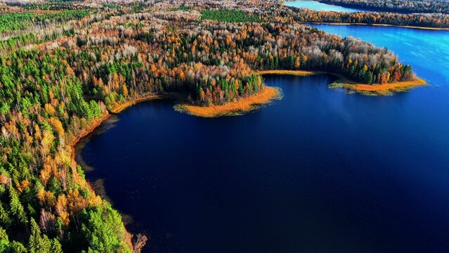 Autumn foliage reflecting on a serene lake boundary surrounded by evergreen forests