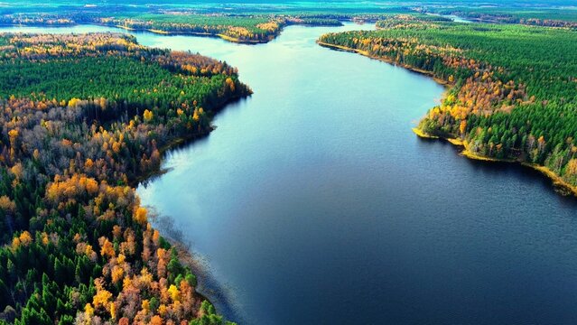 Autumn forest canopy surrounding expansive river reflecting vibrant fall colors and clear sky