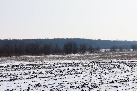 A spacious agricultural field is covered with a thin layer of snow and dark clods of plowed soil. In the background stretches a line of bare winter trees and bushes under a light cold sky.