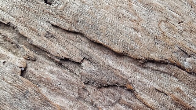 Close up of old weathered wood texture background with natural crack pattern, rustic gray brown wooden board surface for graphic resources