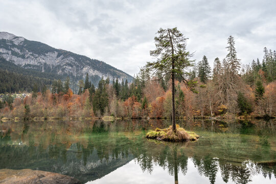 Solitary tree on a tiny island reflected in the mirror-like waters of Lake Cresta near Flims, Switzerland, surrounded by autumn forest, symbolizing tranquility, mindfulness, meditation and inner peace