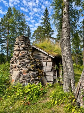 Old timber hut with a stone chimney among trees and plants in a forest