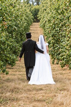 Bride and groom walk together through rows of trees at an outdoor wedding