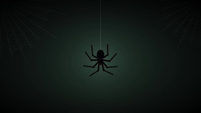 Black spider dropping down on a silk thread and climbing back up loop