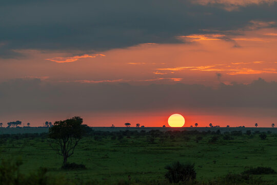 Golden sun setting over the vast African savanna