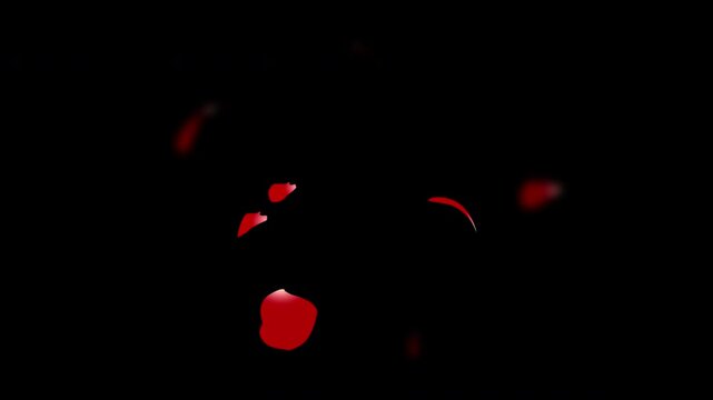 Falling bright red rose petals with the alpha channel. easy to use place on footage or background.