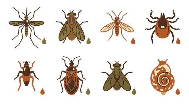 Parasites and biting insects vector icon set. Featuring mosquito housefly midge tick louse stink bug and snail with small drop indicators. Flat design graphics for pest control projects