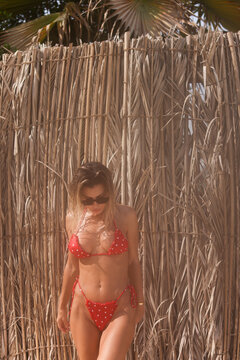Young woman in red polka dot bikini posing against a natural dry reed fence, boho summer style