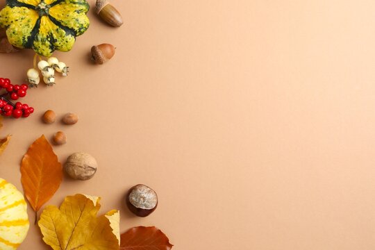 Autumn flat lay featuring small pumpkins, colorful leaves, red berries, nuts on textured beige background with space for text. Perfect for Thanksgiving day.