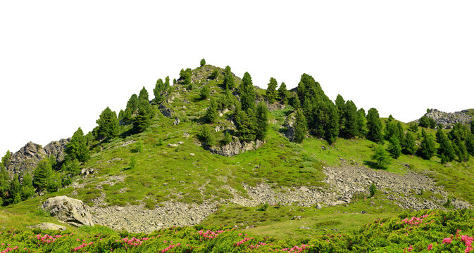 Mountain meadow with trees isolated on a transparent PNG background.	
