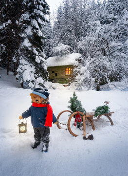 Vintage teddy bear with glowing lantern pulling wooden sled with Christmas tree in snowy winter forest