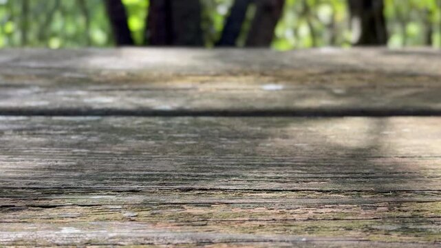 木製テーブルに木漏れ日が揺れる