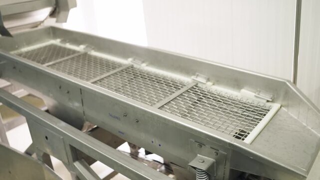 Empty vibrating shaker conveyor belt machine made of stainless steel operating in a clean food processing plant. Industrial automated equipment