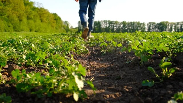 Farmer in the field. Selective focus.