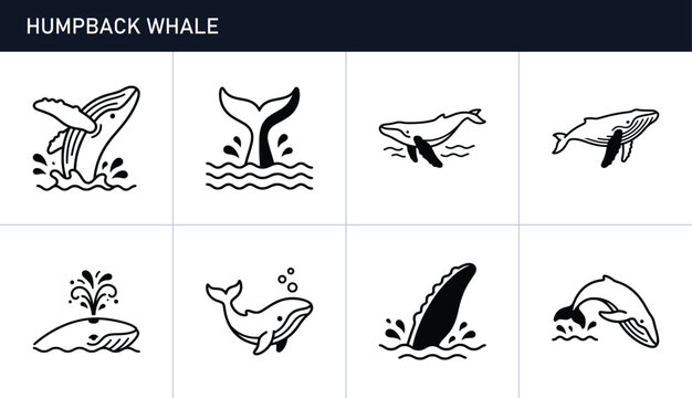 Humpback whale icon set with various poses and actions in ocean water