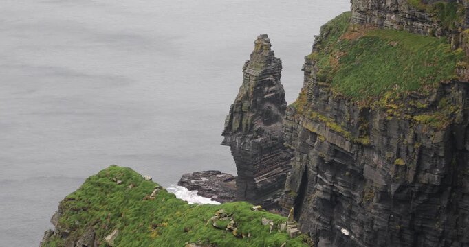 Branaunmore sea stack rises beside the layered Cliffs of Moher in Ireland, where green mossy slopes meet the grey Atlantic beneath an overcast sky.