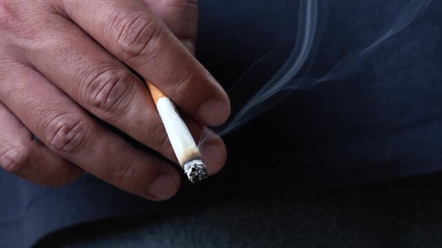 Cigarettes are harmful to the health of children and pregnant women	
