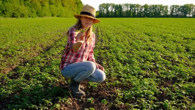 Farmer in the field. Selective focus.