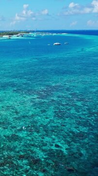 Static aerial view of a vibrant coral reef and ocean water in the Maldives, featuring blue and green accents in a serene, tropical setting showing the surrounding scenery. Vertical video