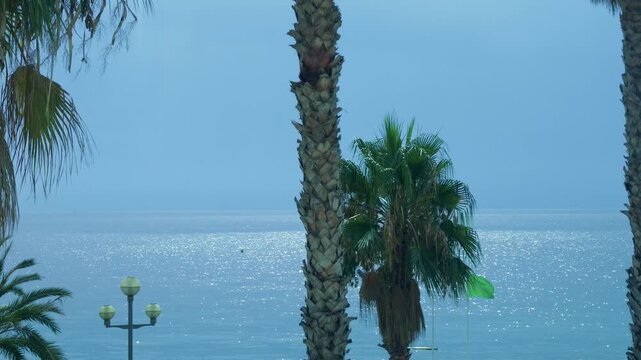 Tall palm trunks, a three-globe street lamp and a green flag in front of the glittering Mediterranean Sea, Nice, France.