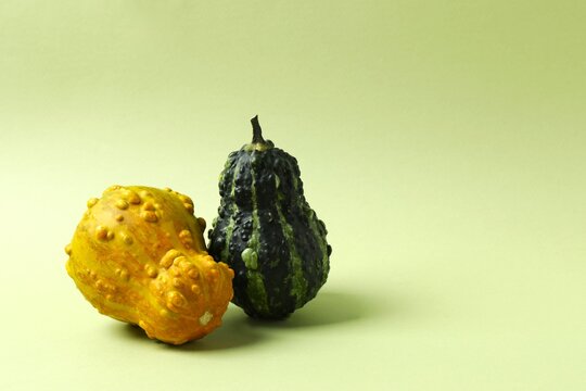 Decorative pumpkins on green background. Halloween and Thanksgiving concept. Copy space