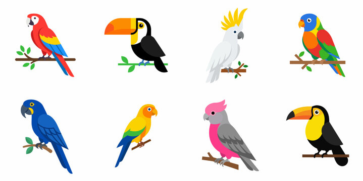 Collection of colorful tropical birds and parrots in flat vector illustration style isolated on white background.