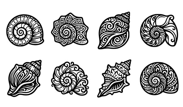 Black and white vector set of decorative seashells and spiral snail shells with intricate ornamental patterns in line art style