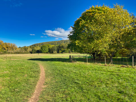 Scenic Autumn Countryside Meadow and Dirt Footpath under Clear Blue Sky, Sidmouth, Devon, UK