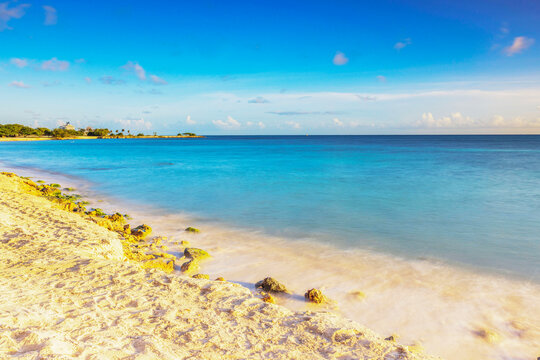 Beautiful view of sandy Caribbean shoreline with rocks beside turquoise sea and distant palm trees. Aruba.