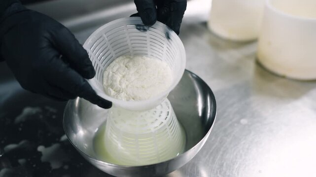 Professional cheesemaker carefully draining the whey from fresh cheese curd placed in a plastic mold. Artisanal cheese making in a factory