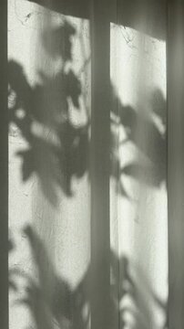 Shadow of Plant Leaves Moving in the Wind on Window Curtain