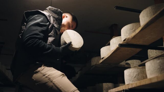 Young cheesemaker carefully inspecting and smelling a wheel of cheese in a dark, traditional aging cellar. Professional quality control process