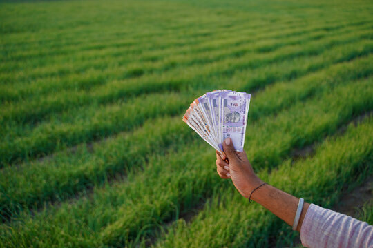 close up of indian farmer hand holding Indian currency notes at green onion field