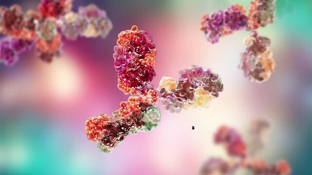 Immunoglobulin molecules, 3D animation. Antibody proteins floating in fluid, representing adaptive immunity, antigen binding and humoral immune defence.