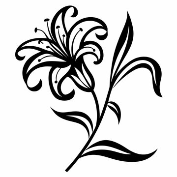Lily Flower