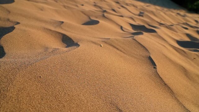 A slow-motion close-up video of sand grains being blown by the wind on a beach at sunset.