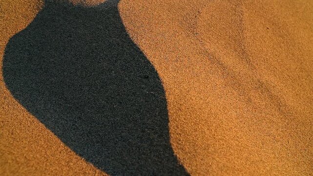 A close-up, slow-motion shot of a sandstorm in the desert, capturing the powerful wind as it whips up countless grains of sand into the air.