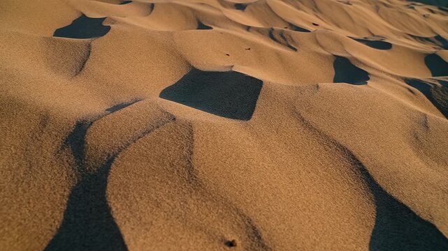 Desert sand glows in yellow sunset tones in a close shot, revealing warm texture and natural detail.