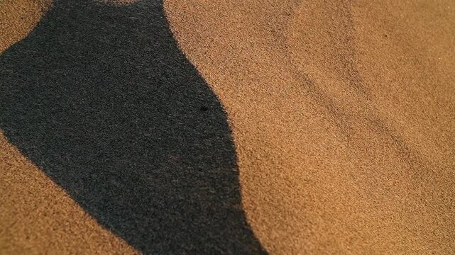 A close-up, slow-motion shot of a sandstorm in the desert, capturing the powerful wind as it whips up countless grains of sand into the air.