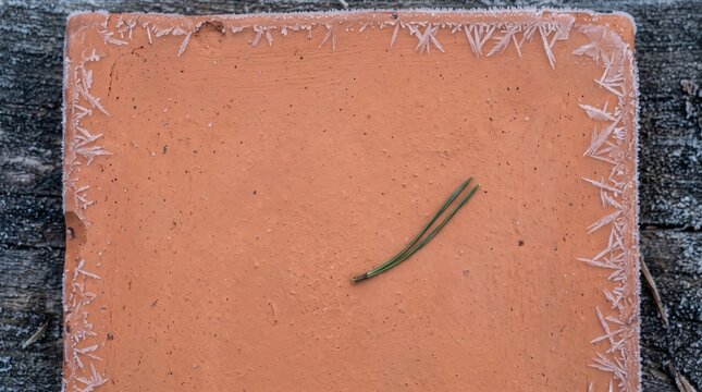 Frosted Pine Needles on Terracotta Clay Tile with Ice Crystals and Copy Space for Winter Nature Presentation Background